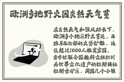 韩国年轻的母亲5观整有限中字
